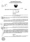 Vista preliminar de documento RDR 10980-2024