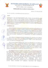 Vista preliminar de documento RA N°196-2023-MDS-A