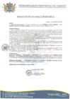 Vista preliminar de documento RA-030-2023
