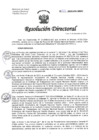 Vista preliminar de documento R.D. N°334-2024-DG-HNHU 