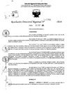 Vista preliminar de documento RDR 10981-2024