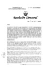 Vista preliminar de documento RD-031-2025-DG/INMP