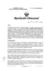 Vista preliminar de documento RD-029-2025-DG/INMP