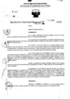 Vista preliminar de documento RDR 10982-2024