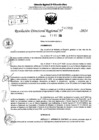 Vista preliminar de documento RDR 10983-2024