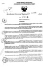 Vista preliminar de documento RDR 10985-2024