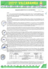 Vista preliminar de documento RADMIN 007 2025
