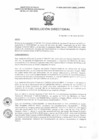 Vista preliminar de documento R.D. 0089-2025-DMID-DIRIS- LE-MINSA