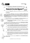 Vista preliminar de documento RDR 10991-2024