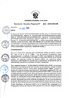 Vista preliminar de documento RER-0013-2025-GRA/GR