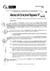 Vista preliminar de documento RDR 10992-2024