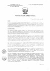 Vista preliminar de documento R.D. 0101-2025-DMID-DIRIS- LE-MINSA