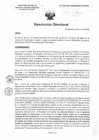 Vista preliminar de documento R.D. 0102-2025-DMID-DIRIS- LE-MINSA