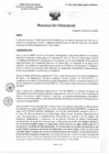 Vista preliminar de documento R.D. 0103-2025-DMID-DIRIS- LE-MINSA