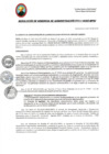Vista preliminar de documento RGA011-2025