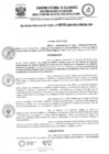 Vista preliminar de documento 0010