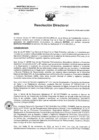 Vista preliminar de documento R.D. 0109-2025-DMID-DIRIS- LE-MINSA