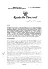 Vista preliminar de documento RD-038-2025-DG/INMP