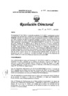 Vista preliminar de documento RD-034-2025-DG/INMP
