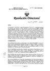Vista preliminar de documento RD-033-2025-DG/INMP