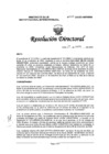 Vista preliminar de documento RD-040-2025-DG/INMP