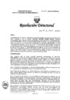 Vista preliminar de documento RD-044-2025-DG/INMP