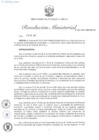 Vista preliminar de documento RM N° 029-2025-MINEM-DM