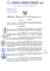 Vista preliminar de documento Resolución Directoral Nº 000011 -  2025 