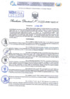 Vista preliminar de documento Resolución Directoral Nº 000015 - 2025 