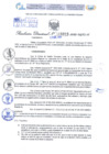 Vista preliminar de documento Resolución Directoral Nº 000019 - 2025