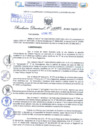 Vista preliminar de documento Resolución Directoral Nº 000022 - 2025 