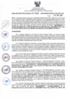 Vista preliminar de documento RDR N°089-2025-29-01-2025