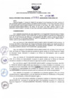 Vista preliminar de documento RDR N°090-2025-29-01-2025