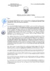Vista preliminar de documento RD-0479-2025-DSAIA-DIRIS-LE-MINSA