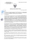 Vista preliminar de documento RD-0487-2025-DSAIA-DIRIS-LE-MINSA
