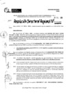 Vista preliminar de documento RDR 11005-2024