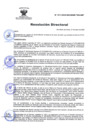 Vista preliminar de documento RD Nº 017-2025-DG-INSM