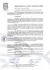 Vista preliminar de documento Resolución de Alcaldía N° 020-2025-ALC/MVES
