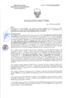 Vista preliminar de documento RD-0490-2025-DSAIA-DIRIS-LE-MINSA