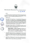 Vista preliminar de documento RD 027-2025-MIDAGRI-PEJSIB-DE