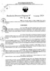 Vista preliminar de documento RDR 11009-2024