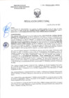 Vista preliminar de documento RD-0495-2025-DSAIA-DIRIS-LE-MINSA