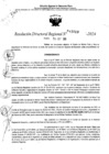 Vista preliminar de documento RDR 11010-2024