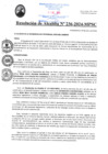 Vista preliminar de documento RA236-2024