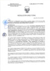 Vista preliminar de documento RD-0499-2025-DSAIA-DIRIS-LE-MINSA