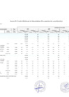Vista preliminar de documento Cuadro Multianual de Necesidades 2025