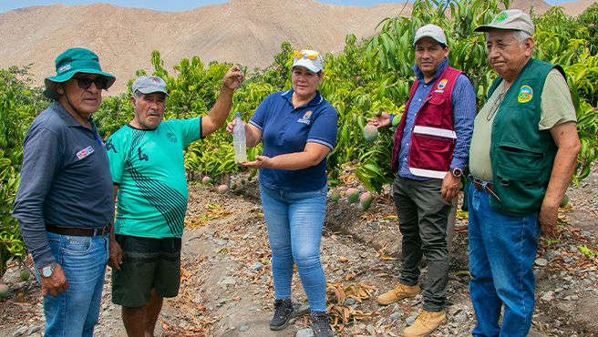 Autoridades supervisan ejecución del plan de control de la mosca de la fruta en el Centro Poblado de Ex- Hacienda