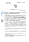 Vista preliminar de documento RD-0503-2025-DSAIA-DIRIS-LE-MINSA