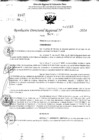 Vista preliminar de documento RDR 11016-2024