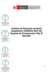 Vista preliminar de documento Análisis de Situación de Salud Hospitalario (ASISHO) 2023